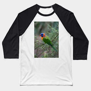 Red Collared Lorikeet Baseball T-Shirt